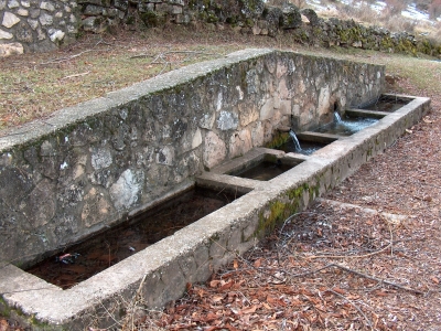 Fuente del Pozuelo - imagen 5