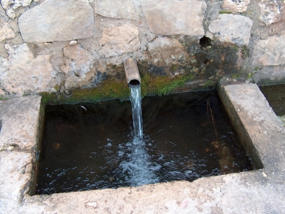 Fuente del Pozuelo - imagen 6
