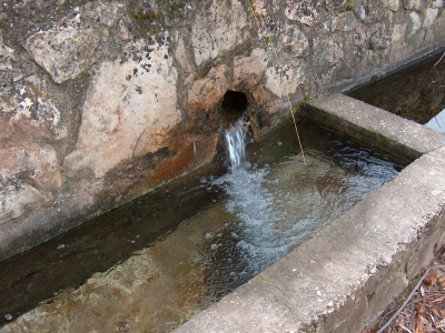 Fuente del Pozuelo - imagen 7