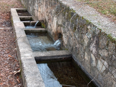 Fuente del Pozuelo - imagen 9