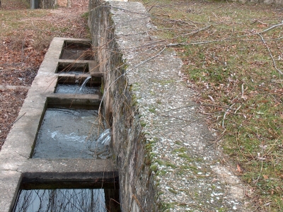 Fuente del Pozuelo - imagen 10