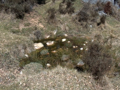 Fuente de Prado Masegar - imagen 1