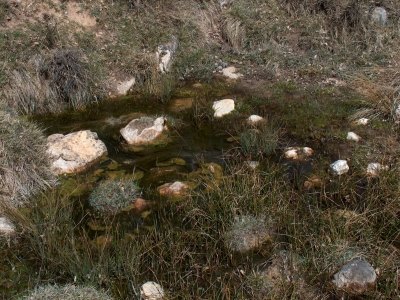 Fuente de Prado Masegar - imagen 2