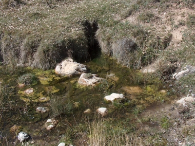 Fuente de Prado Masegar - imagen 3