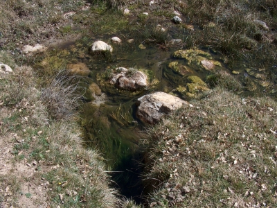 Fuente de Prado Masegar - imagen 5