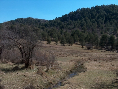 Fuente de Prado Masegar - imagen 6