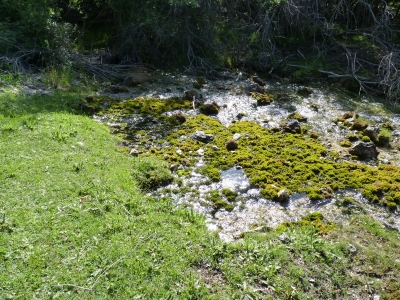 Manantiales de los Prados de la Sierra del Agua - imagen 2