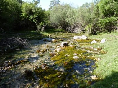 Manantiales de los Prados de la Sierra del Agua - imagen 4