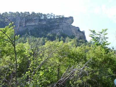 Manantiales de los Prados de la Sierra del Agua - imagen 5