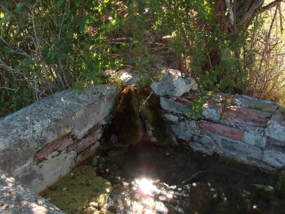 Fuente del Rodeo - imagen 3