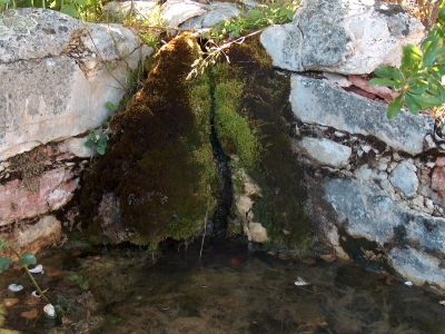 Fuente del Rodeo - imagen 7