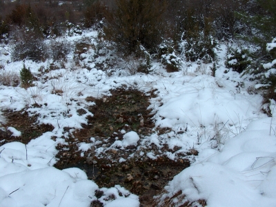 Fuente el Sargal - imagen 3