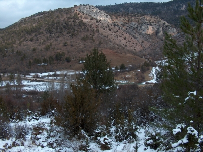 Fuente el Sargal - imagen 6