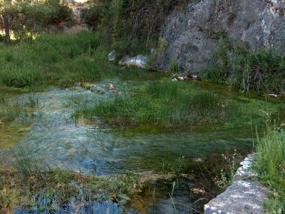 Fuente de la Serna - imagen 1