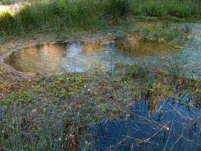 Fuente de la Serna - imagen 2