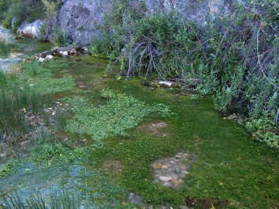 Fuente de la Serna - imagen 4