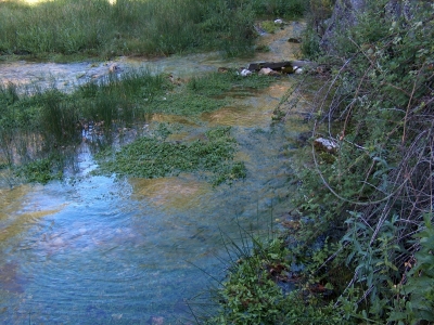 Fuente de la Serna - imagen 5