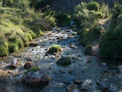 Fuente de la Serna - imagen 8