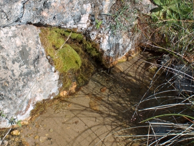Fuente de la Tía Faciosa - imagen 1