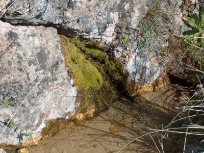 Fuente de la Tía Faciosa - imagen 2
