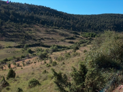 Fuente de la Tía Faciosa - imagen 5