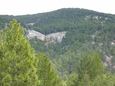 Fuente del Tío Primo II - imagen 5