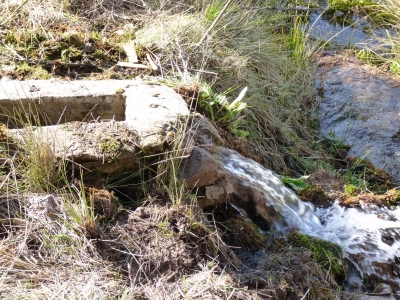 Fuente de la Tocona - imagen 4