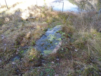 Fuente de la Tocona - imagen 6