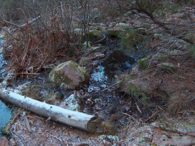 Fuente de la Umbría - imagen 2