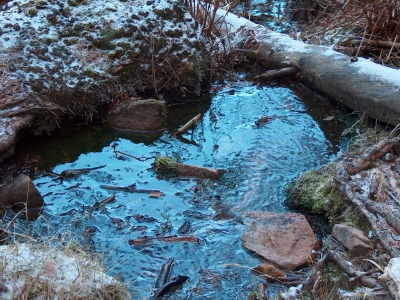 Fuente de la Umbría - imagen 4