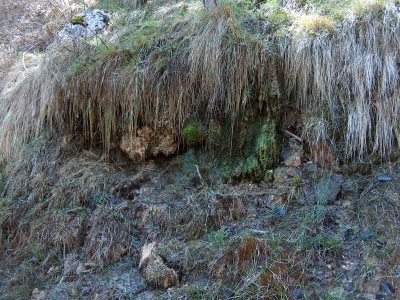 Fuente de la Umbría de la Juanlabrá - imagen 2