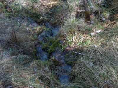 Fuente de la Umbría de la Juanlabrá - imagen 3