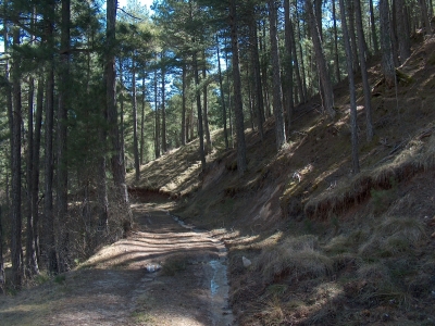 Fuente de la Umbría de la Juanlabrá - imagen 4