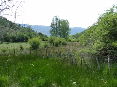 Fuente de Valdelatas - imagen 1