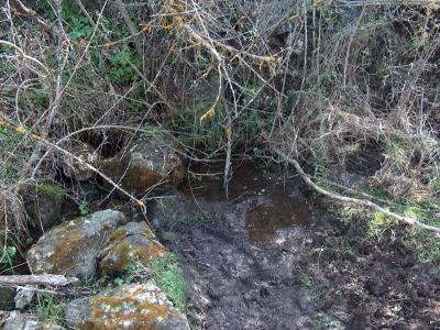 Fuente de Valdonarre I - imagen 2