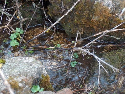 Fuente de Valdonarre I - imagen 3