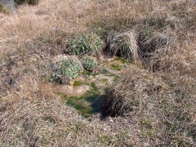 Fuente de Valdonarre II - imagen 1