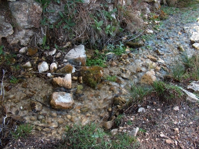 Fuente de Valdonarre III - imagen 3