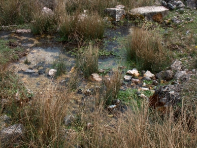 Fuente de Valdonarre IV - imagen 3