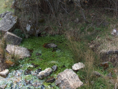 Fuente de Valdonarre IV - imagen 5