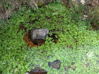 Fuente de Valdonarre IV - imagen 6