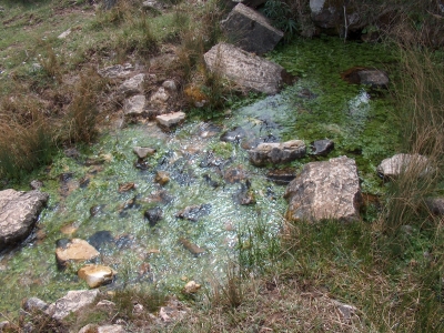 Fuente de Valdonarre IV - imagen 7