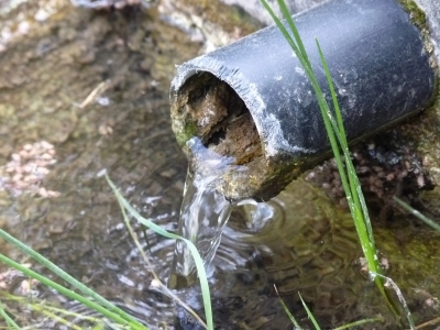 Fuente de Valdosillos - imagen 3