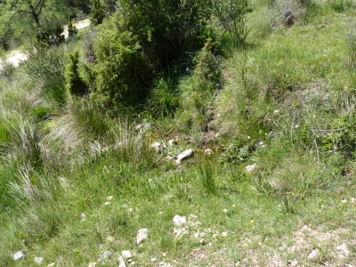 Fuente de Villarejo - imagen 1