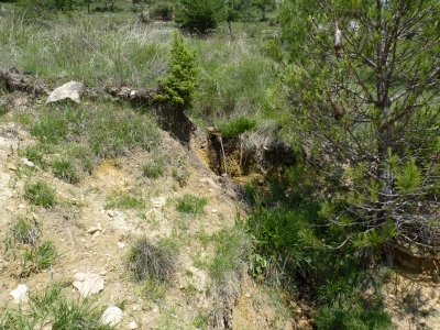Fuente de Villarejo - imagen 2