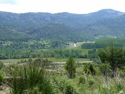 Fuente de Villarejo - imagen 6