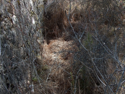 Fuente del Abrevadero - imagen 1