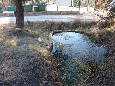 Fuente del Azabache - imagen 2