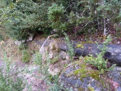 Fuente del Escalerón - imagen 2