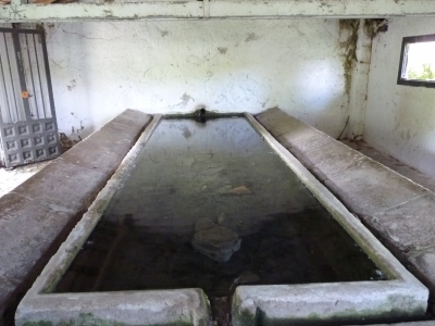 Fuente del Lavadero - imagen 6